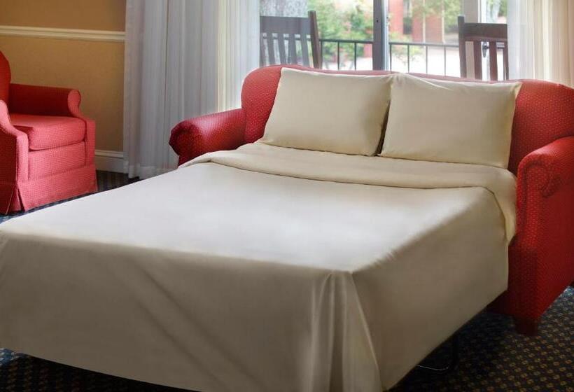 장애인을 위한 킹사이즈 침대 스탠다드 룸, The Inn at Stone Mountain Park