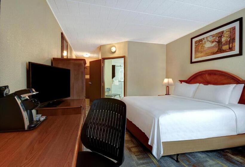 스탠다드 룸 킹사이즈 침대, Wyndham Garden York