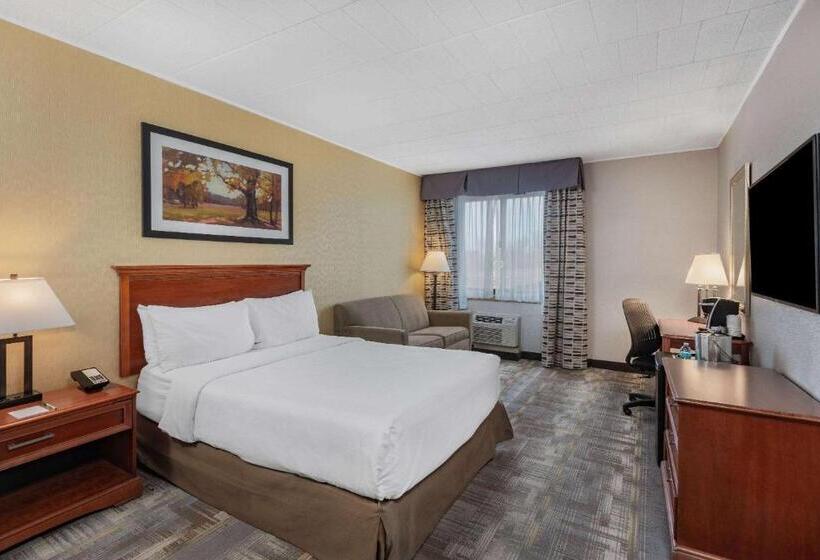 스탠다드 룸 킹사이즈 침대, Wyndham Garden York