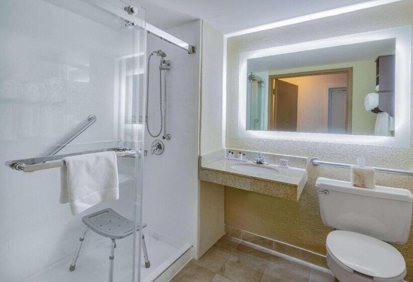 장애인을 위한 킹사이즈 침대 스탠다드 룸, Wyndham Garden York