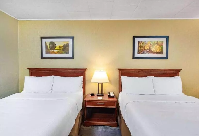 身障者適用スタンダードルーム, Wyndham Garden York