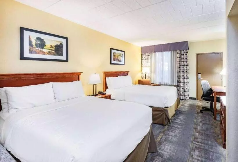 身障者適用スタンダードルーム, Wyndham Garden York