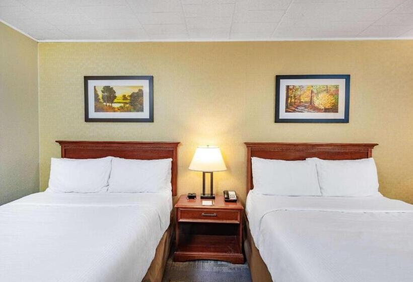 스탠다드 룸 더블 침대 2개, Wyndham Garden York