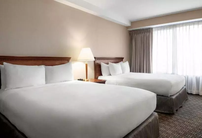 Standard Room Superior Floor, Wyndham Springfield City Centre