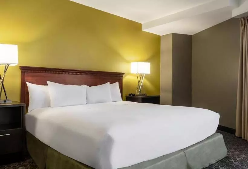 سوئیت جونیور با تخت بزرگ, Wyndham Springfield City Centre