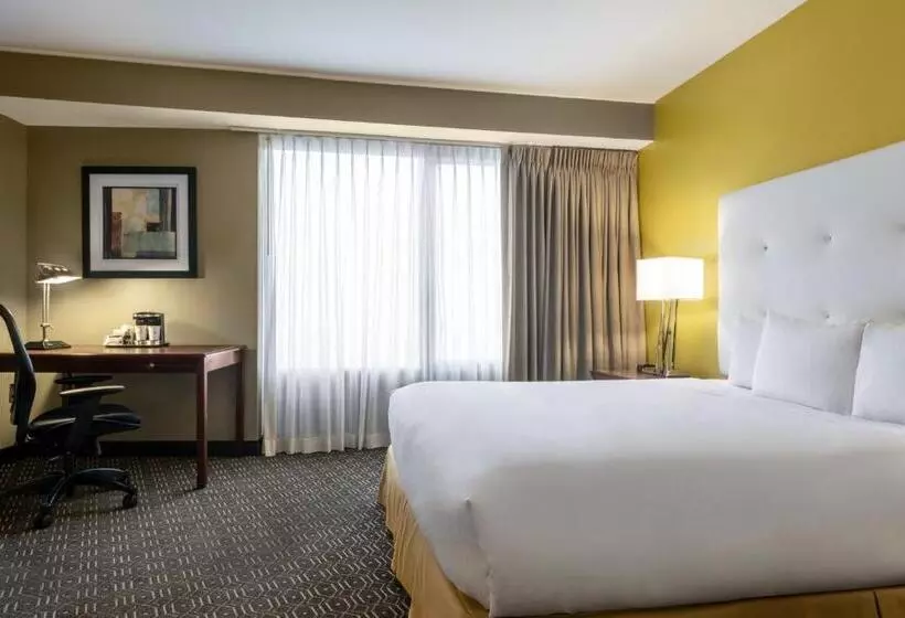 سوئیت جونیور با تخت بزرگ, Wyndham Springfield City Centre