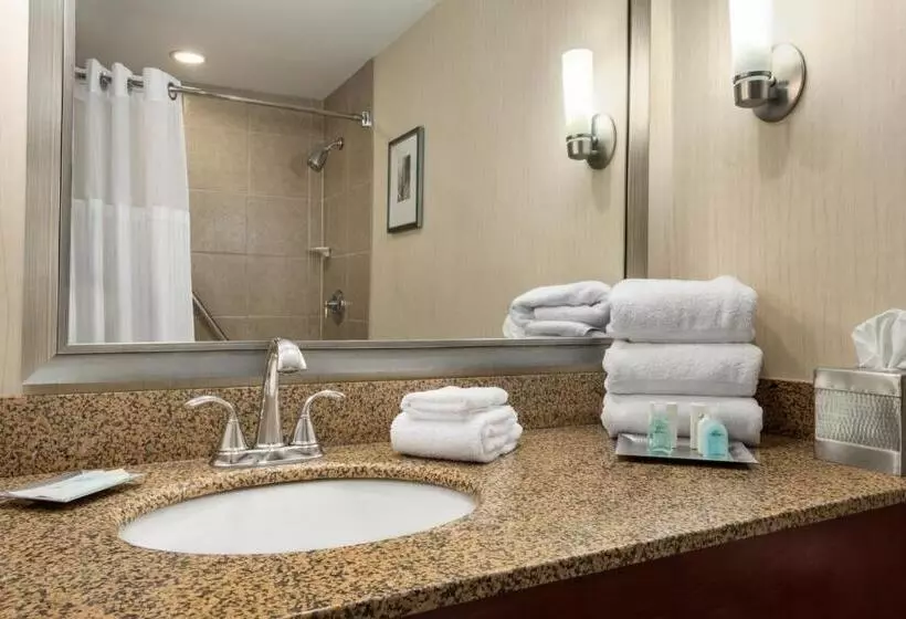اتاق استاندارد با تخت بزرگ برای معلولان, Wyndham Springfield City Centre