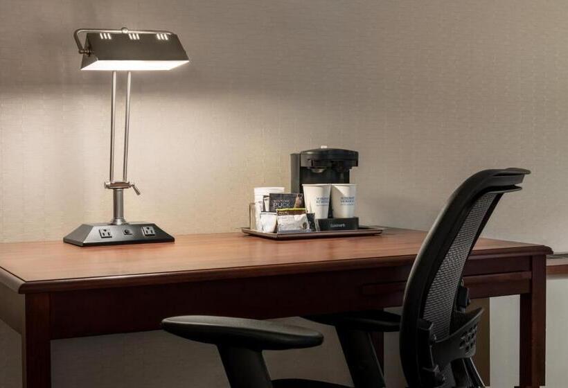 适合残疾人士使用的轻年套间, Wyndham Springfield City Centre