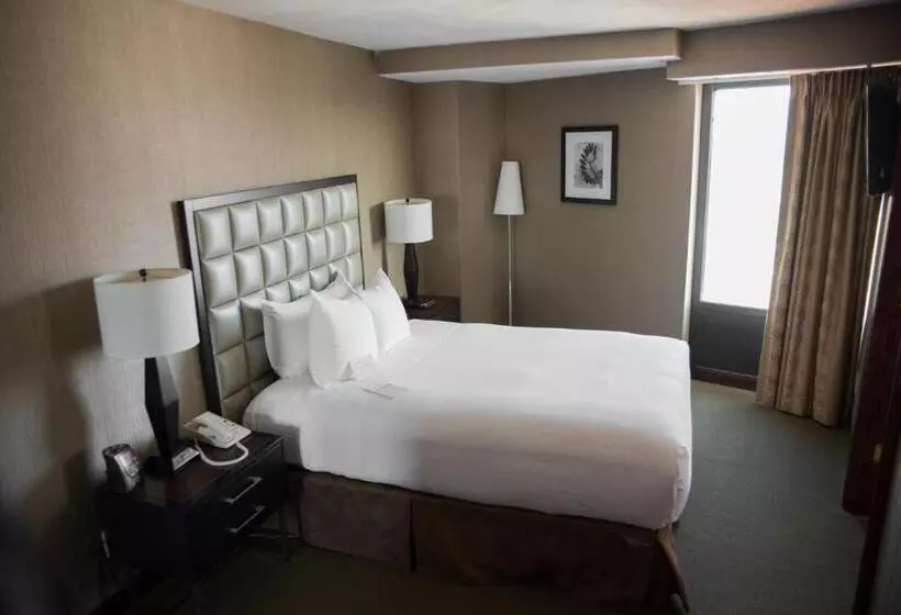 سوییت, Wyndham Springfield City Centre