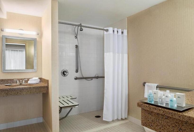 Standard Værelse King-seng Tilpasset til Handicappede, Wyndham Springfield City Centre