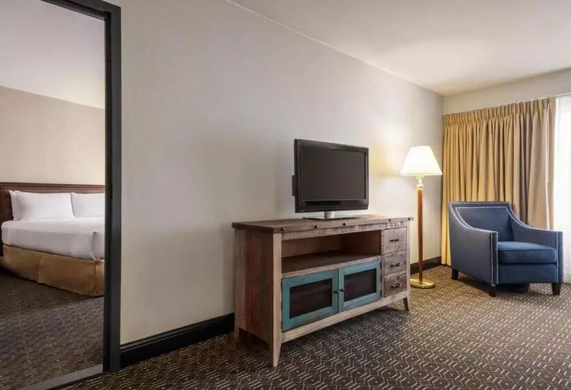 سوییت جونیور, Wyndham Springfield City Centre