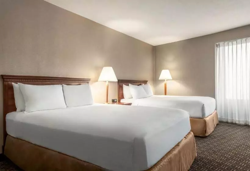 سوییت جونیور, Wyndham Springfield City Centre
