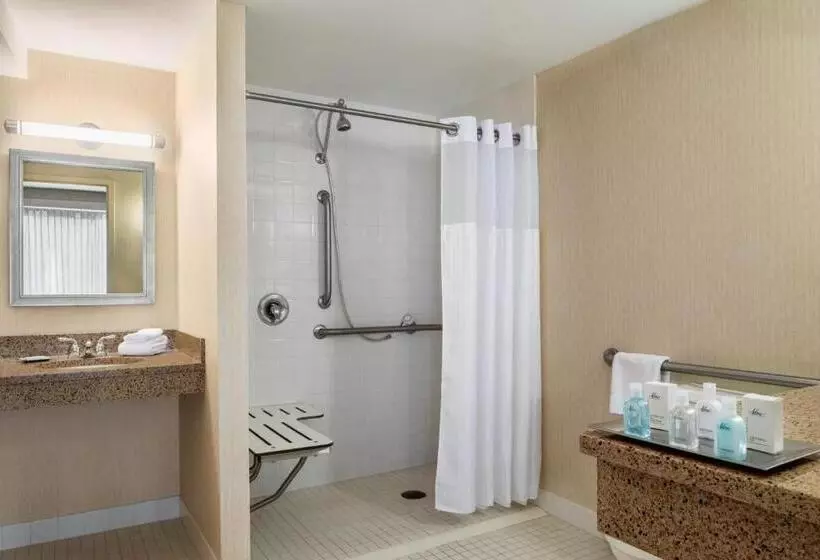 اتاق استاندارد برای معلولان, Wyndham Springfield City Centre