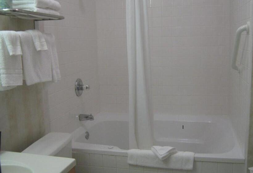 １ベッドルームアパートメント, Super 8 By Wyndham Ottawa Starved Rock