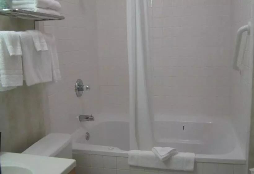 １ベッドルームアパートメント, Super 8 By Wyndham Ottawa Starved Rock