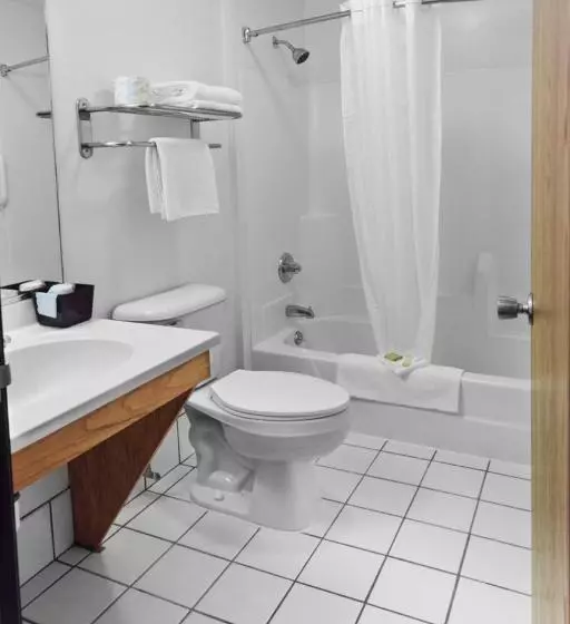 キングサイズベッドのデラックススイート, Super 8 By Wyndham Ottawa Starved Rock