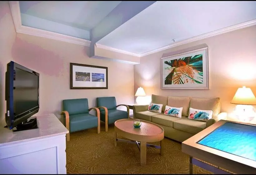 デラックスジュニアスイート, The Don Cesar