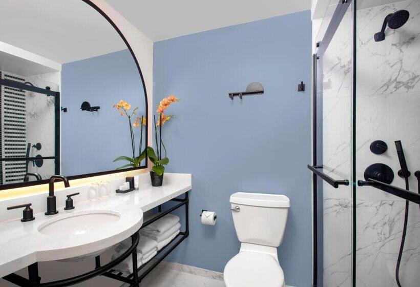 جناح جونيور ديلوكس, The Don Cesar