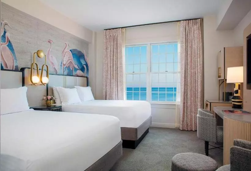 スタンダードルーム, The Don Cesar