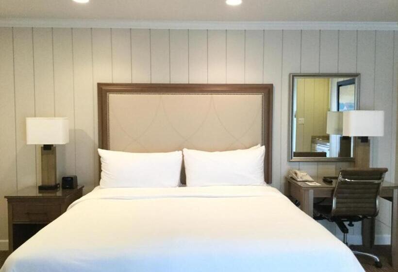 Полулюкс, Silverado Resort