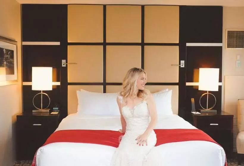 اتاق استاندارد با تخت بزرگ, The Statler Hotel At Cornell University