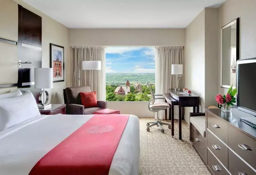 اتاق استاندارد با تخت بزرگ, The Statler Hotel At Cornell University
