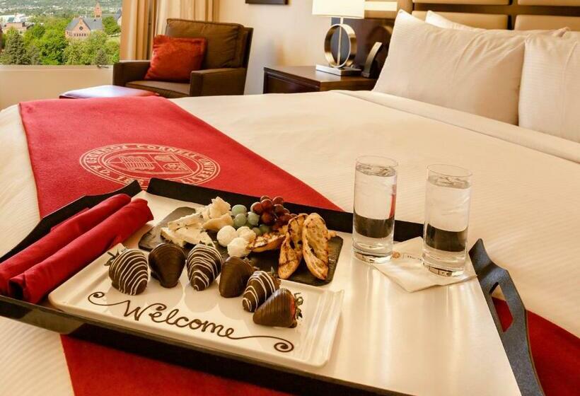 غرفة قياسية سرير كينج, The Statler Hotel At Cornell University