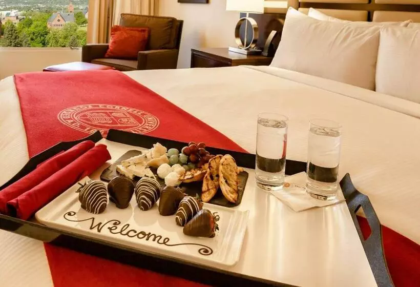 اتاق استاندارد با تخت بزرگ, The Statler Hotel At Cornell University