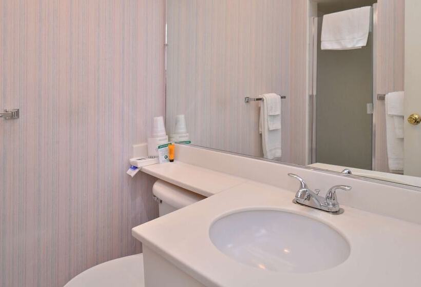 اتاق لوکس, Americas Best Value Inn Lake Tahoetahoe City