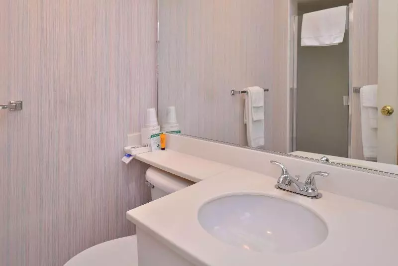 اتاق لوکس با تخت بزرگ, Americas Best Value Inn Lake Tahoetahoe City