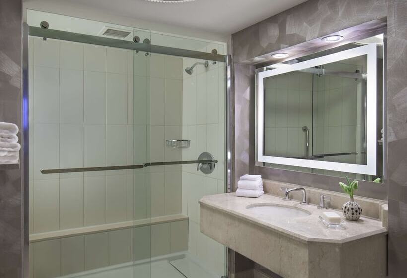 Студия Стандарт Двуспальная Кровать, Hilton Washington Dc Capitol Hill