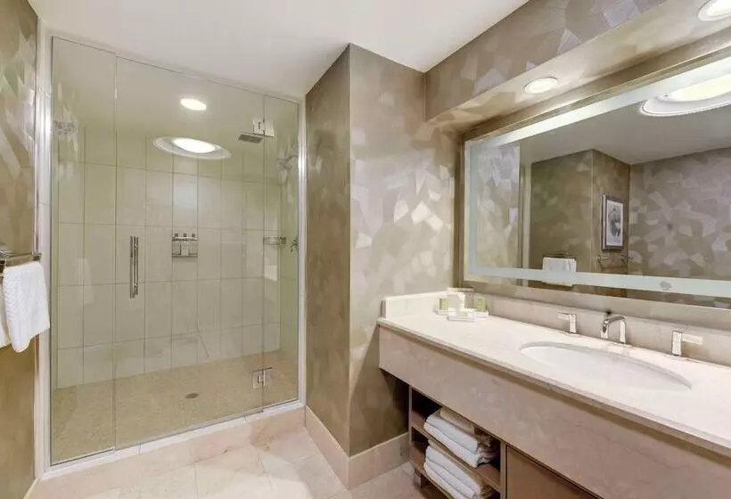 اتاق لوکس, Hilton Washington Dc Capitol Hill