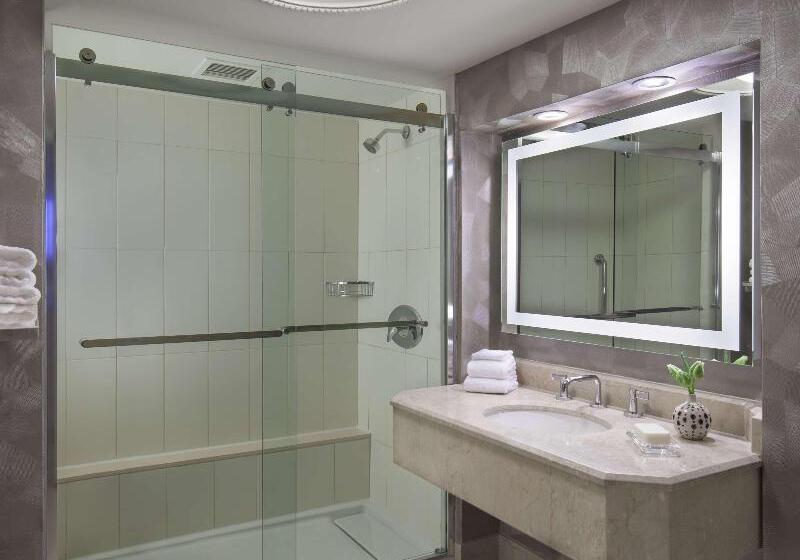 Номер Стандартный с Видом, Hilton Washington Dc Capitol Hill