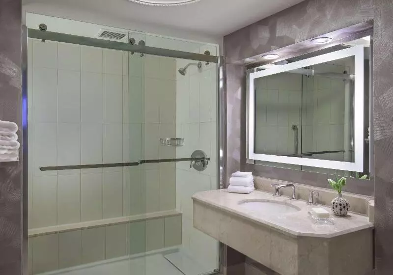 اتاق لوکس با تخت بزرگ, Hilton Washington Dc Capitol Hill