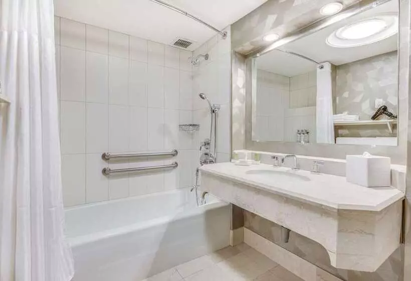 اتاق استاندارد با چشمانداز, Hilton Washington Dc Capitol Hill