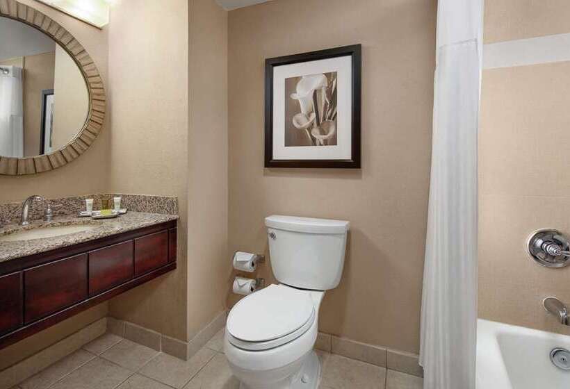 اتاق استاندارد با چشم‌انداز, Hilton Washington Dc Capitol Hill