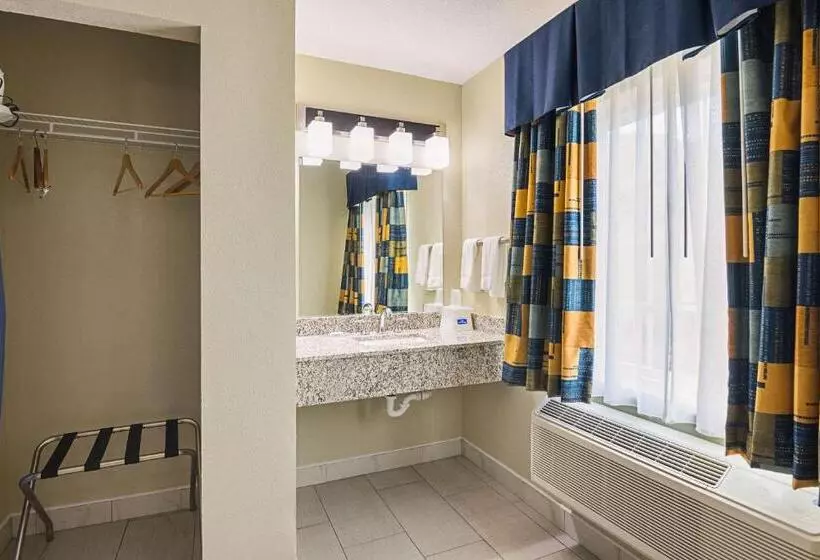 اتاق استاندارد با تخت بزرگ, Rodeway Inn And Suites