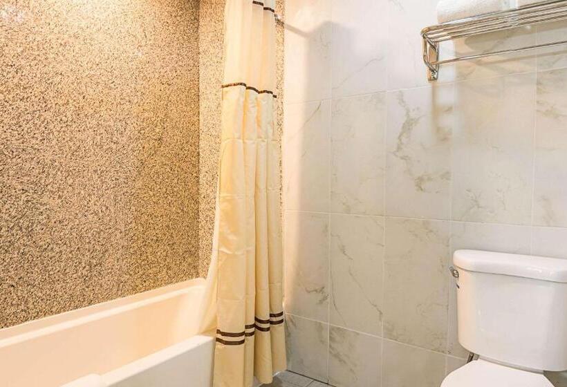 Стандартный Номер Кровать Кинг, Rodeway Inn And Suites
