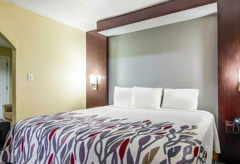 キングサイズベッドのスイートルーム, Rodeway Inn & Suites Houston Near Medical Center