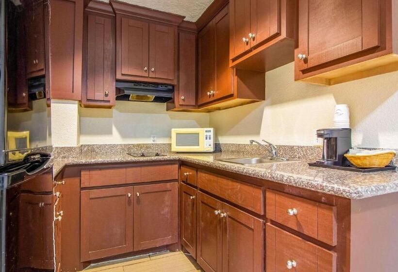デラックススイート, Rodeway Inn & Suites Houston Near Medical Center