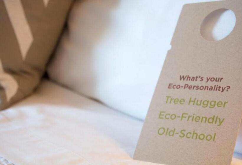 デラックスルーム, Sentinel