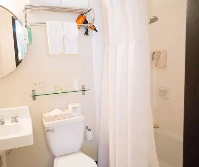 اتاق استاندارد, Stay Hotel Waikiki