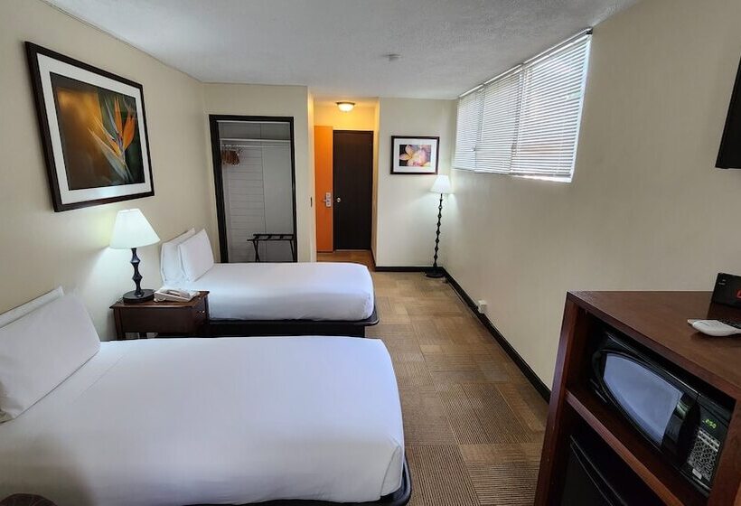 스탠다드 룸, Stay Hotel Waikiki