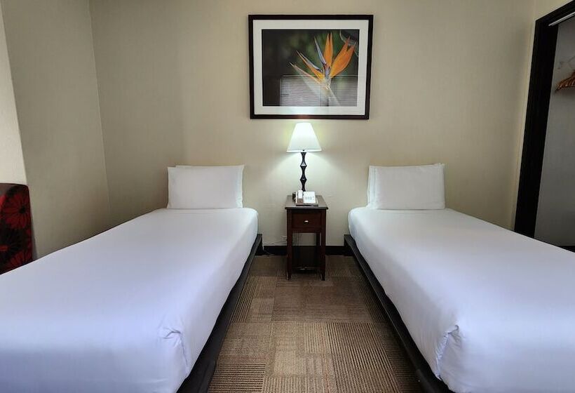 Номер Стандарт, Stay Hotel Waikiki