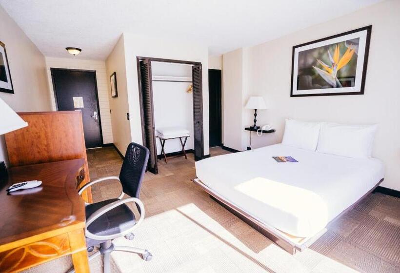 스탠다드 룸, Stay Hotel Waikiki