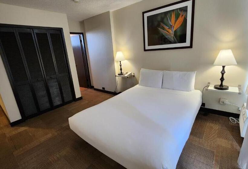스탠다드 룸, Stay Hotel Waikiki