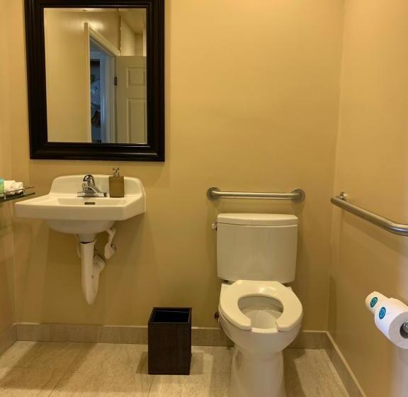 Deluxe Kamer, The Dylan Hotel At Sfo