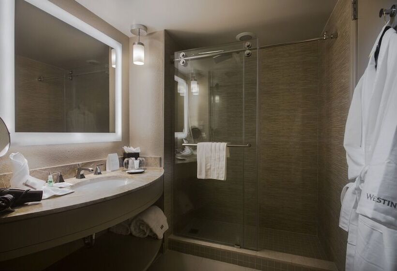 غرفه قياسيه سريرين مزدوجين, The Westin Tampa Waterside