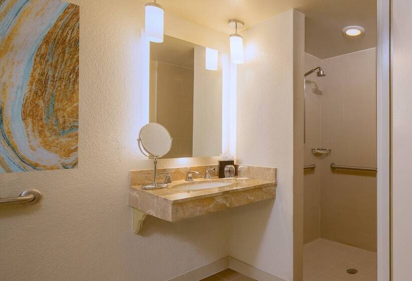 带2个双人床的标准工作室, The Westin Tampa Waterside