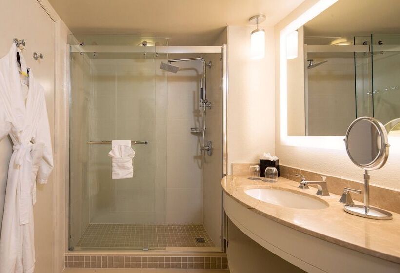 带2个双人床的标准工作室, The Westin Tampa Waterside